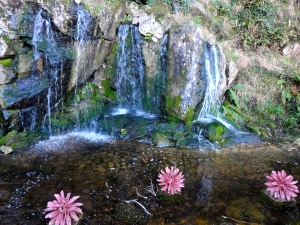Waterfalls in Blarney, Ireland